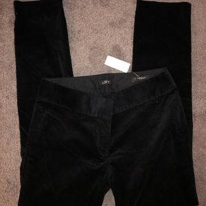 NWT Loft Dress Pants
